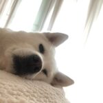 Seol In-a Instagram - 줄리라 쓰고 사랑이라 읽을 것 사랑이라 쓰고 줄리라 부를 것