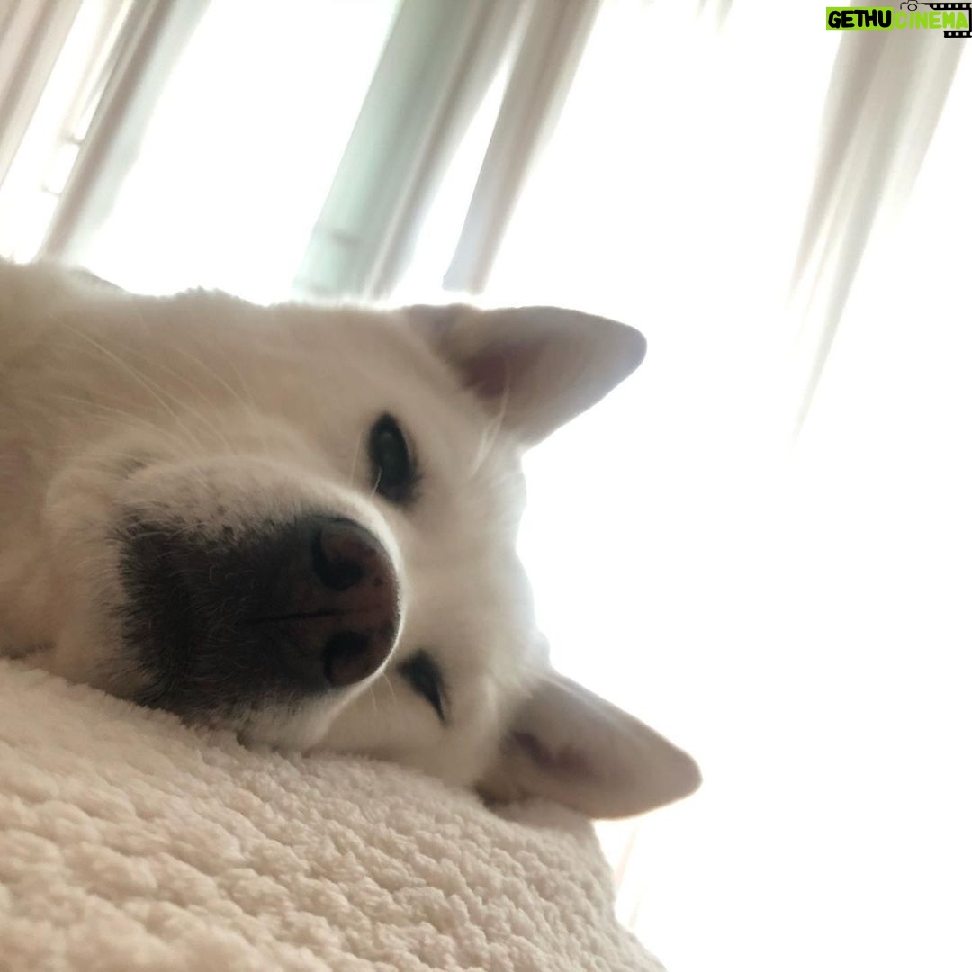 Seol In-a Instagram - 줄리라 쓰고 사랑이라 읽을 것 사랑이라 쓰고 줄리라 부를 것