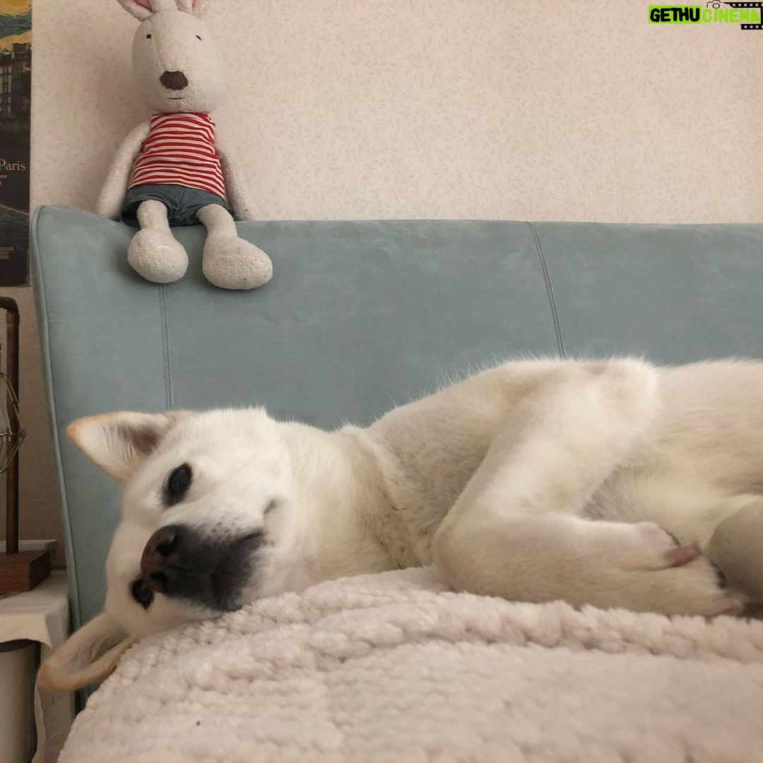 Seol In-a Instagram - 줄리라 쓰고 사랑이라 읽을 것 사랑이라 쓰고 줄리라 부를 것