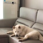 Seol In-a Instagram - 줄리라 쓰고 사랑이라 읽을 것 사랑이라 쓰고 줄리라 부를 것