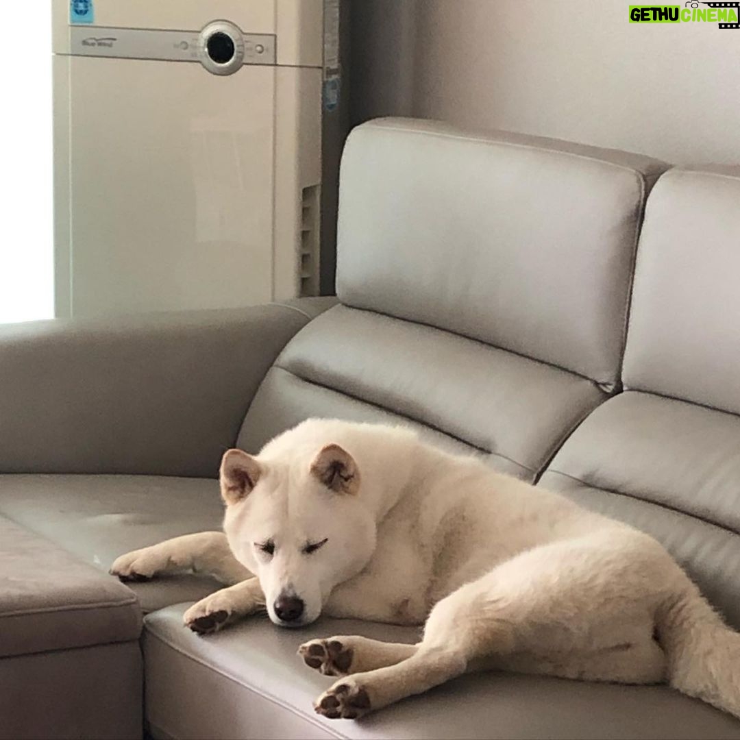 Seol In-a Instagram - 줄리라 쓰고 사랑이라 읽을 것 사랑이라 쓰고 줄리라 부를 것