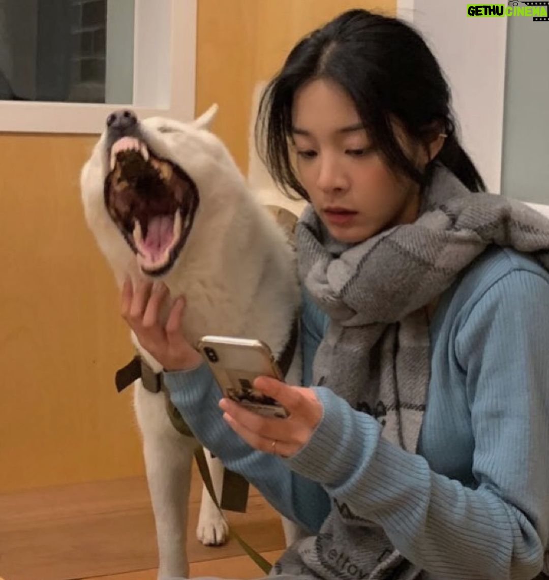 Seol In-a Instagram - 언니야 언니야! 뚱구 시 마려 나 좀 바바 아ㅏㅏㅏㅏ오!뚜씨👊🏽 (하품이에요)