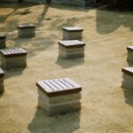 Seol In-a Instagram - AE-1 두번째 롤