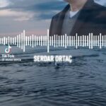 Serdar Ortaç Instagram –