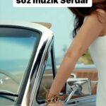 Serdar Ortaç Instagram -