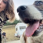 Serenay Sarıkaya Instagram - KGKG BOLU🌞✨