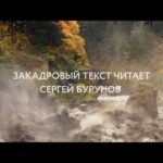 Sergey Burunov Instagram - Я озвучил документальный фильм "Реки"! 16 июня в прокат выходит лента "Реки" – завораживающая киноодиссея с моим голосом под музыку Radiohead и Австралийского камерного оркестра. В оригинальной версии фильм озвучивал Уиллем Дефо. Дорогие подписчики, это совершенно потрясающий проект… Это фильм-оркестр, это невероятно гипнотическое действо!"
