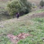 Sergey Svetlakov Instagram - Новости из Карачаево-Черкесии