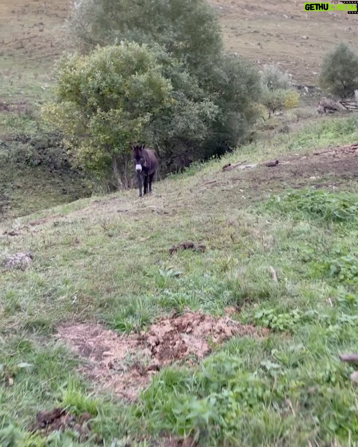 Sergey Svetlakov Instagram - Новости из Карачаево-Черкесии