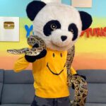 Sergio Daniel Brazón Rodríguez Instagram - Admito que tuve miedo 🐍😥 Se acercó mucho a mi cara. (Nótese mi expresión de miedo) Con Mi Mejor Amiga:)