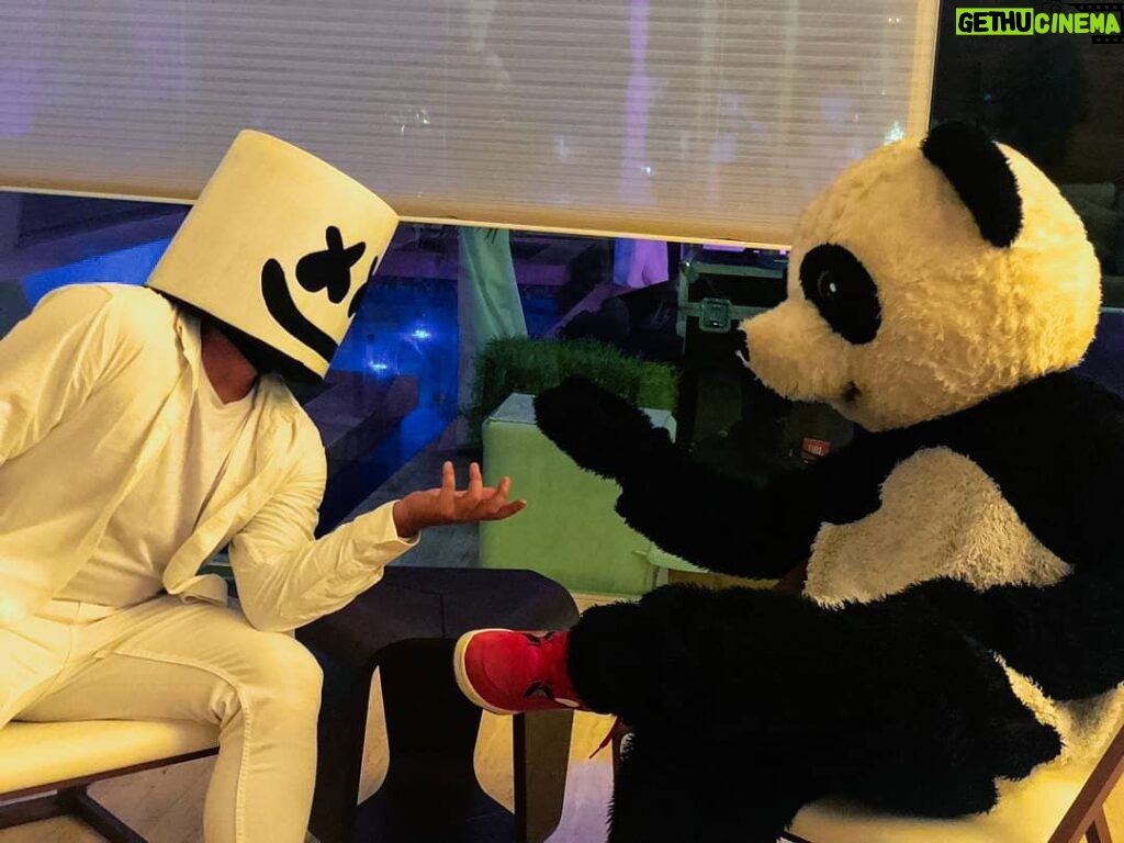 Sergio Daniel Brazón Rodríguez Instagram - Estábamos hablando de negocios mi amigo @marshmello y yo, cuando mi amigo @soynandito me tomó esta foto. Si, soy un Panda de negocios, amigos. 😎