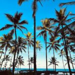 Sergio Malheiros Instagram - 🌴🌊❤️😎