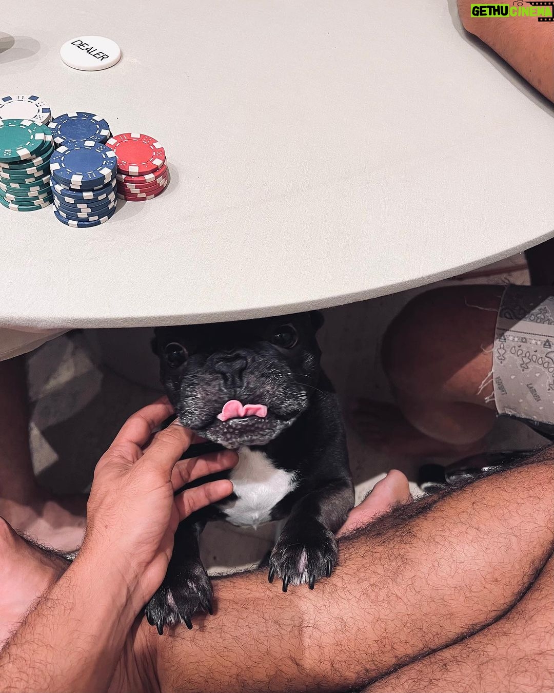 Sergio Malheiros Instagram - Kite, poker, pagode… Não necessariamente nessa ordem 🤙🏾😎