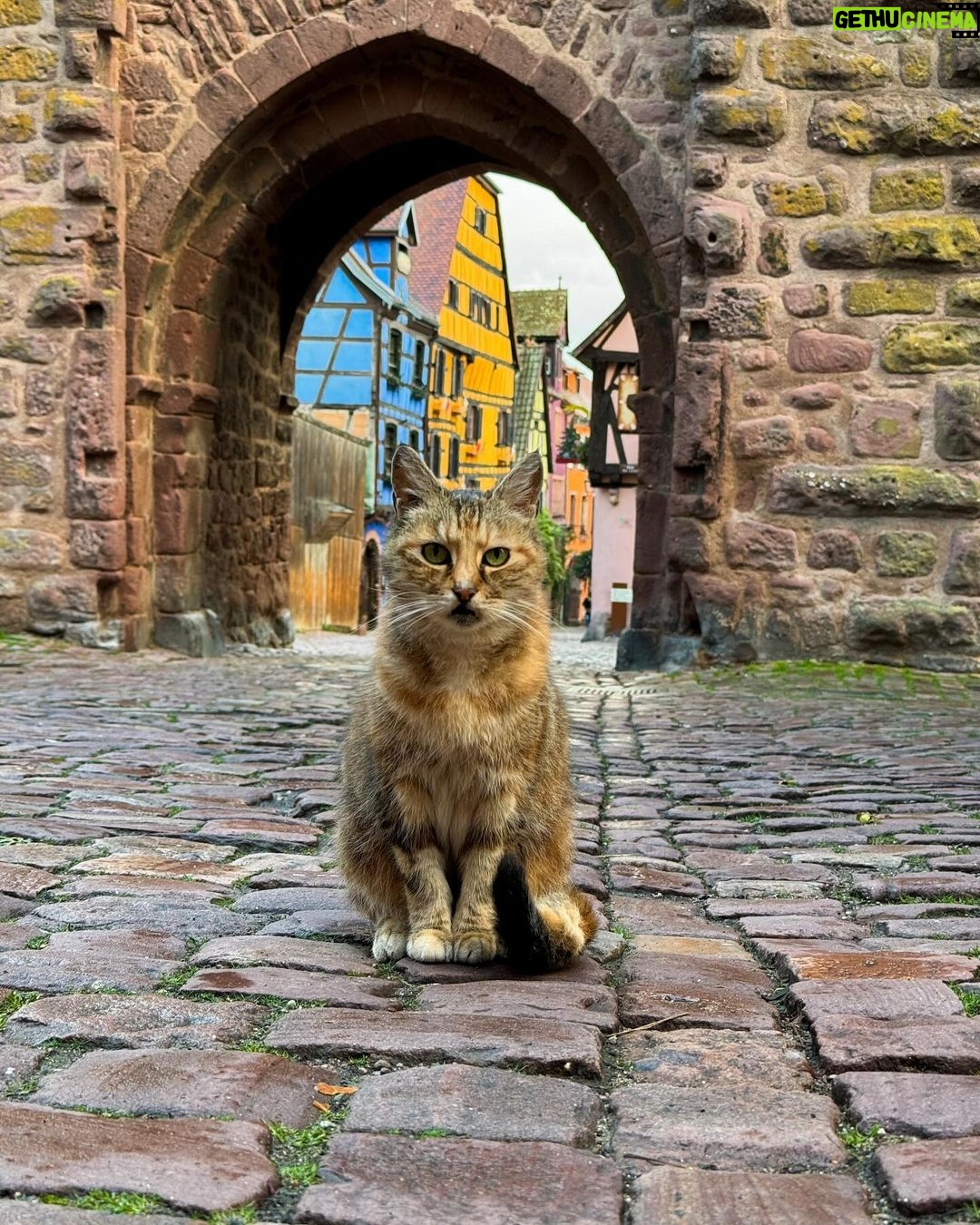 Serkan Çayoğlu Instagram - Next stop: Riquewihr 🥐
