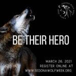Seth Green Instagram - Repost from @apexprotectionproject Wolves were recklessly and prematurely removed from the Endangered Species List this past January. Now stripped from their desperately needed protections, wolves have become targets of violence and injustice throughout our country. Just last month, Wisconsin slaughtered 216 wolves. Now, wolves in Montana, Idaho, Wyoming and Michigan face a similar fate. Join us virtually on March 26, 2021 for a crash course on how you can take action to help wolves in the US with leading experts from around the country. Secure your spot today by clicking the link @apexprotectionproject bio or visiting @sedonawolfweek for more information. 🐺🐺 . . . . . #wolf #wolfsanctuary #apexprotectionproject #highcontentwolfdog #midcontentwolfdog #wisdom #wolves #wolfdog #wolfdogsofinstagram #wolfdogcommunity #wolfpack #wolfhybrid #wolfrescue #rescuedog #rescuedismyfavoritebreed #rescuedogsofinstagram #rescue #donate #realwolfdog #nonprofit #nonprofitorganization #animallovers #animals #wildlife #sedonawolfweek2021