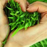 Shabnam Moghadami Instagram – .
روز ِ طبیعتتون خوش و خجسته و پر از خنده و خوشی…سیزدهتونه به خوشی دَرشه ایشالا…
این اولین سیزدهبهدر ِ قَرنه…
کاش در نخستین «روز ِ طبیعت » ِقرن ِ تازه،به رفتار ِ درستتر با طبیعت ِ مادر فکر کنیم، برای کمتر آسیب رسوندن بهش راهی پیدا کنیم و مسیری برای بیشتر دوست داشتنش بسازیم…
یادمون نره،طبیعت تا وقتی با ما مهربونه که ما هم با او سر ِ سازش داشته باشیم…در غیر ِ این صورت، اون روی خشمگینش رو جوری بهمون نشون میده که راه برگشت نداشته باشیم!
.
همش کیف کنین و بخندین امروز…و دست و دل و دامن ِ طبیعت رو با وسواس پاکیزه نگه دارین…دشت و دَمَن زباله دونی ِ ما نیست…دوستداران طبیعت و اونایی که دلشون برای درخت و گل و سبزه و کوه ودریا و کویر میتپه و میسوزه هم نوکر پدر ما نیستن!! که ما بریزم و اونا وقت و انرژی بذارن و جمع کنن!!
خستهشون نکنیم بیش از این.
مراقب ِ آتیش و منقل و ذغالهامون هم باشیم.یه سهلانگاری ِ کوچیک میتونه عواقب بزرگ و بدی داشته باشه.
خیلی خوش بگذره.روز ِ آخر ِ تعطیلات عالی باشه برای همه.
.
و یه چیز دیگه…
موقع سبزه گرهزدنامون یک عالم آرزوی خوب کنیم برای هم…این روزا برای همهمون لازمه.
#سیزده_بدر
#روز_طبیعت
#طبیعت_را_دوست_بداریم
#طبیعت_را_پاکیزه_نگه_داریم
#مراقب_طبیعت_و_حیوانات_باشیم
#خوش_بگذره_بهتون
#زباله_ها_را_در_طبیعت_رها_نکنیم