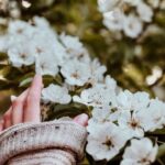 Shabnam Moghadami Instagram - . اکنون دل به دست ِ بهار ندهیم چه کنیم؟ تازگی بیاید ای کاش…کسالت و کهنه‌گی برود ای کاش …جان‌‌‌ و دل‌مان تازه شود به بوی نوبهار…غبار ِ غم برود حالْ بِهْ شود ای کاش… . #بهار #بهار_جان_ها