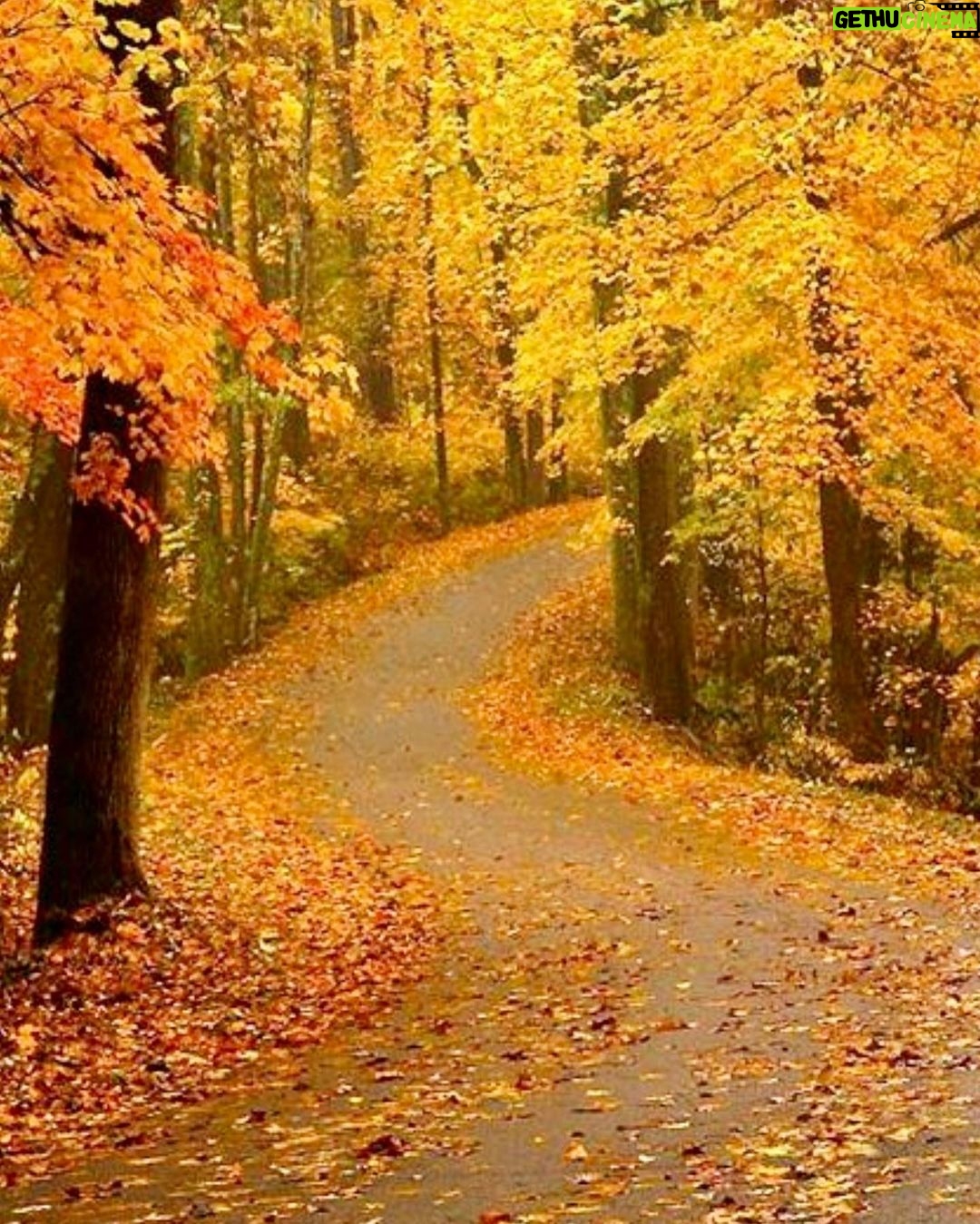 Shabnam Moghadami Instagram - . پاییز ِ واقعی، یعنی همینی که الان تازه رسیده…از وسطای آبان.اونی که با اول مهر میآد فقط اسمش پاییزه.تا بارون و برگریزون و این همه زرد و نارنجی ِ چشمنواز خودنمایی نکنه، پاییز،پاییز نمیشه… شکر برای بارش ِ این چند روز،شکر برای چشیدن ِ دوبارهی طعم ِ پاییز، شکر ِزنده بودن و زندگی،شکر ِ همهی نعمتهای پروردگار… حالا که قلبم از زیباییِ پاییز روشنه و زبانم به شکر باز شده و حال ِ خوبی دارم، میخوام دعا و آرزو کنم برای فرداها و حال و روز ِ بهتر…برای دوری ِ بلا و این همه سوگ و سوز ِ جگرسوز…برای روزگاری سهلتر و آرامتر…برای دیدن ِصورت ِ خندون ِ مردم…برای سلامتی و بیکرونایی ِ مطلق ِ همهی جهان…برای روزی که این همه غم ِ نان و درد ِ جان نباشه…غصهی بیسرپناهی و یه کف ِ دست اتاق و سقف اینقدر فراگیر نباشه…پدری از نداری شرمندهی روی ِهمسر و فرزند نباشه …کودکی غصه دار و بی امکانات و محروم از درس و بازی نباشه …چشم ِمادری به هیچ دلیلی اشکآلود و غمبار نباشه… دعا میکنم برای آگاهی و عشق…برای صلح و آرامش و امید …برای همه خیر و خوبی ها برای همه مردم سرزمینم، برای همهی مردم جهان… کاش…ای کاش دستگیر و تکیهگاه ِ هم باشیم. برای هم خیر بخواهیم. با هم مهربان باشیم. نگذاریم روزگار ِ سخت، دلْسنگینمون کنه. زهر به جون و روح هم نریزیم. و برای شهر ِ دلتنگی باران بخواهیم. #پاییز #خزان #من_برای_شهر_دلتنگی_باران_خواستم #مهربان_باشیم #برای_هم_دعا_کنیم #برای_هم_خوب_بخواهیم #آبان #بگذرد_این_روزگار_تلخ_تر_از_زهر #جان_هم_را_نگیریم #پدر_هم_را_در_نیاوریم