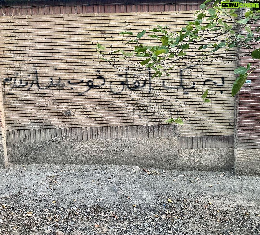 Shabnam Moghadami Instagram - . دلم گرفته دلم عجیب گرفته است. و هیچ چیز نه این دقایق خوشبو، که روی شاخه نارنج میشود خاموش نه این صداقت حرفی، که در سکوت میان دو برگ این گل شب بوست نه ! هیچ چیز مرا از هجوم خالی اطراف نمیرهاند. و فکر میکنم که این ترنم موزون حزن تا به ابد شنیده خواهد شد… مسافر،سرودهی سهرابسپهری، که این تکهاش انگار مال ِ این روزهاست. دیوارنوشته،سالهاست روبهروی پنجرهی خانهی مادرم است.کاش آن اتفاق برای نویسنده افتاده باشد که بعید است! #سهراب_سپهری #به_یک_اتفاق_خوب_نیازمندیم #دیوارنوشته