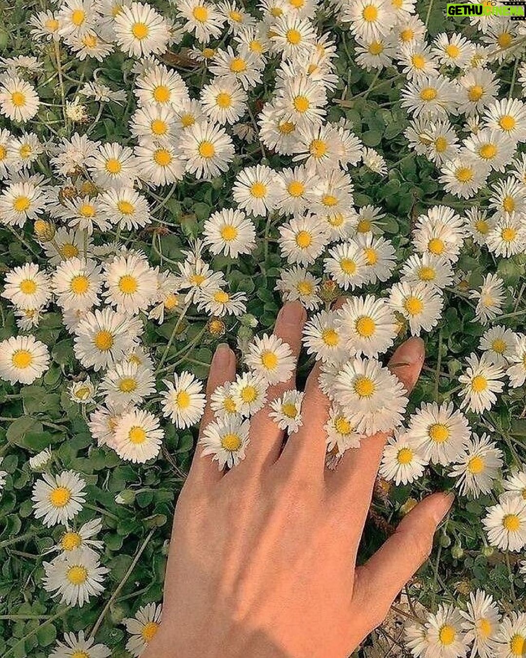Shabnam Moghadami Instagram - . بهار نو مبارک...سال ِ نو خجسته...نوروزتان روشن و شاد...عیدتان مبارک و نیکو... به امید ِ بهی و بهتری و بهروزی برای همهی ما و همهی جهان...به امید ِ صلح و عشق و آرامش و سلامتی برای همهی ما و همهی جهان... پروردگارا امید را در دل ِ ما نمیران...آمین. #نوروز۱۴۰۰ #بهار