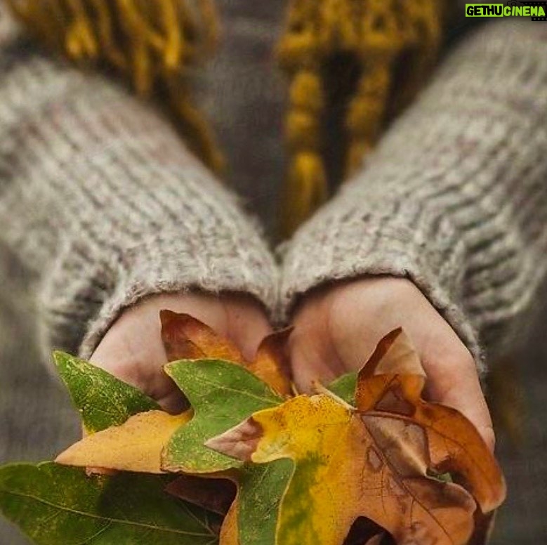 Shabnam Moghadami Instagram - می خوام بخوابم و تو خواب ببینم جوری مشغول پاییزم که هرچی فکر می کنم یادم نمی آد مردمی که تو سر و کله ی هم می زنن واسه جنس ِارزون بی ترس از مرگ اهل ِ کجان؟ فروشنده ای که تو روز ِ اوج ِ مرگ و میر کرونا حراج می زنه وجود داره اصلا! می خوام یادم نیاد چقدر بی رحمیم نسبت به هم ، می خوام یادم بره تصویر ِ سال وبایی ِ ناصرالدین شاهی رو که می گن توی نهرهای تهرون جنازه بوده که می رفته...یادم بره همین دیروز ِ حراجی چهارصد و شصت هفتاد نفر مردن! . می خوام بخوابم و تو خوابم نبینم این همه فقر و نداری و گرسنگی رو دور و بر ِ مردمم...می خوام یادم بره ویروس ِ دیوونه ای رو که بعد ِ ساعت ِ شیش عصر فعال می شه و مریضی ایجاد می کنه واسه مردم ،می خوام بی رحمی هامون یادم بره...یادم بره آدمیزاد ِ قرن ِ بیست و یکمی هنوز انقدر وحشیه که یه عالمه حیوون ِبی زبون پرورش می ده که پوست شون رو بکنه ازش کیف و پالتو درست کنه بعد که می فهمه مریض شدن قتل عام شون می کنه.بعدم نمی فهمه...نمی فهمه از کجا می خوره! می خوام جوری بخوابم،انقدرررر عمیق که یادم بره جنگل ها دارن می سوزن . .که بچه های شهر و روستاهای دور اینجا که نه اینترنت درست و حسابی دارن نه آی پد و لپ تاپ نه حتی خیلی هاشون کاغذ و مداد! چه جوری باید درس بخونن و آینده ی خودشون و مملکت شونو بسازن ؟ . می خوام صورت ِ خجالت زده و جیب ِ خالی پدرها...همکارام در تئاتر ِ تعطیل ِ مرده،یادم بره ، قیافه ی نحس ِ ترامپ که شبیه همین ویروس ِهمین درد ِ بی درمونه یادم بره...درد و اشک ِ مادر ِ افغانستانی که نمی تونه یه سیم کارت ساده داشته باشه برای درس خوندن بچه ش یادم بره.می خوام یادم بره روزی چهارصد پونصد تا خانواده عزادار می شن هیچکی م به روی خودش نمی آره.نه خودمون و نه مسئولین مون.می خوام یه جوری بخوابم ...یه جوری که این همه نامردی و بی معرفتی که نسبت به هم داریم یادم بره.مامان بزرگم می گفت یه پری ای هست به اسم پری ِ خواب که یواشکی توی غذای بچه هایی که شبا دیر می خوابن یا بعدازظهرا درست حسابی نمی خوابن به معجونی می ریزه که مجبور می شن چند برابر بیشتر از بقیه بخوابن و از بازی و خوشی با دوستا و خوشمزه خوری عقب می افتن! کجاست اون پری الان؟ کاش پیداش می کردم و یه بشکه گنده معجون خواب ازش می گرفتم برای خودم ودوستام،برای روزای آینده که انگار روزای بدتری ن.می خوردیم اون معجون ِ خوابو،می خوابیدیم و این همه نشد و نباید و ناله و نیستی می رفت از یادمون.می خوابیدم عمیق و بی دغدغه و اگه لازم می شد اصلا خواب به خواب می رفتم و می موندم تو خاطره ی پاییز،چنگ می زدم تو برگاش