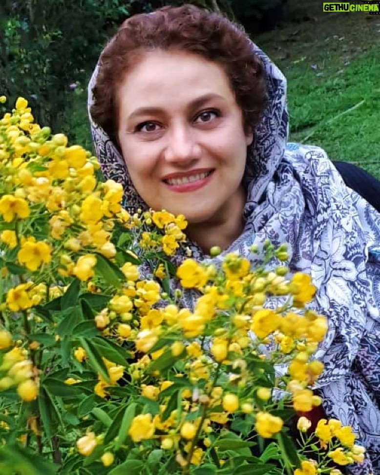 Shabnam Moghadami Instagram - با همه ی فراز و نشیب و با همه اوج و فرود ها...با همه از دست دادن ها و به دست آوردن ها...با همه غم ها و یأس ها و بیم ها و امید ها...با این همه خالی و این همه نداشته هامان...زندگی زیباست و بسیار جدی...و کوتاه البته... نمی ترسم از زندگی ...می زنم به دلش و پیش می روم ...حتی اگر گاهی کم بیاورم ...تسلیم اما نه! هرگز.... شبانه شعری چگونه توان نوشت تا هم از قلبم سخن بگوید ، هم از بازویم ؟ شبانه شعری چنین چگونه توان نوشت ؟ من آن خاکستر سردم که در من شعله ی همه ی عصیان هاست ، من آن دریای آرامم که در من فریاد همه توفان هاست من آن سرداب تاریکم که در من آتش همه ایمان هاست . ا.بامداد #احمد_شاملو #ا_بامداد #زندگی
