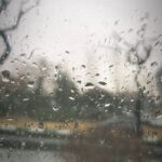 Shabnam Moghadami Instagram - . باران ِ بی‌رمقی می‌بارد بر شهر ِ خاکستری… دلگیرتَرَش می‌کند انگار… برف‌پاک‌کن ،ناله‌کنان جان می‌کَنَد و قطرات ِ ناقابل باران را به زحمت جمع می‌کند و می‌فرستد به فاضلاب‌ها… شهر، همان شهر است…خانه‌ها همان خانه‌ها و آدم‌ها همان آدم‌ها…روز ،مثل دیروز‌… اما ،باران که هرچه بود دلم را نرم می‌کرد،بی‌اثر است امروز…دلم سخت است و سخت غمگینم… . صبح ِخاکستری ِ سوم‌بهمن ماه ِ صفر دو. . گر بدین سان زیست باید پست من چه بی شرمم اگر فانوس عمرم را به رسوایی نیاویزم بر بلندِ کاجِ خشکِ کوچه بن بست گر بدین سان مرد باید پاک من چه ناپاکم اگر ننشانم از ایمان خود چون کوه یادگاری جاودانه بر تراز بی بقای خاک… . شعر،سروده‌ی ا.بامداد