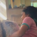 Shadmehr Aghili Instagram - . غذا دادن به حیوانات، نوازش کردن و حتی تماشای آنها می‌تواند نوعی آرامش به همراه داشته باشد. #animals #family #حيوانات #خانواده @miamesaaghili @real_melina_official