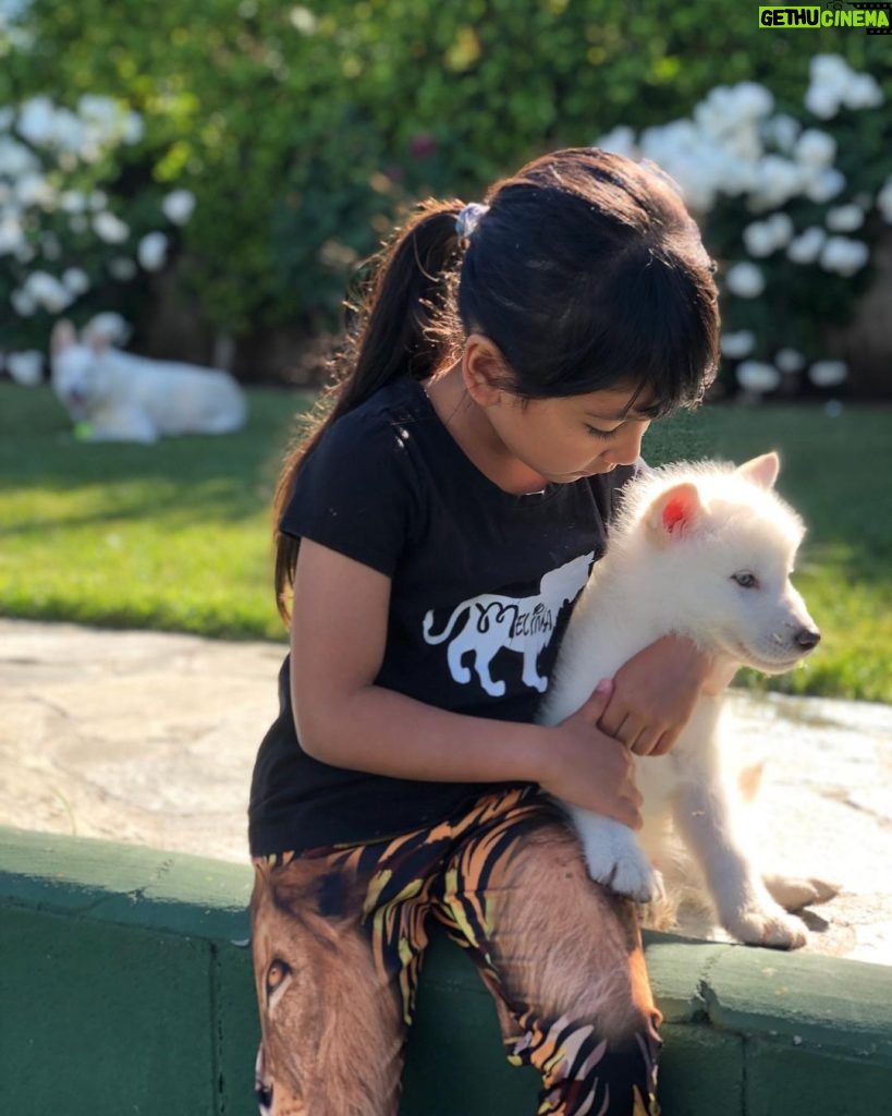 Shadmehr Aghili Instagram - تولدت مبارك فرشته كوچولوى من ♥️🦁 @real_melina_official My beautiful girl, I’m the happiest dad in the world to have such a strong girl like you! You are a treasure in my life.