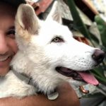 Shadmehr Aghili Instagram – Welcome to the Aghili family 
درسته كه شير  و  ببر  جزو قويترين حيوانات هستند ولى هيچ وقت “گرگ” رو نميبينى كه در سيرك نمايش اجرا كنه.
#wolf #wolfdogs #fakefur #fauxfur