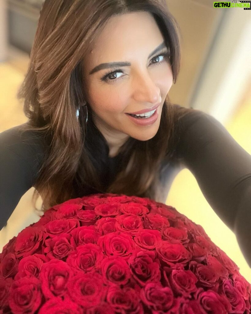 Shama Sikander Instagram - Plants are good but Roses are Roses 🌹 ☺️🤓 . . . #roses #beautiful #shamasikander