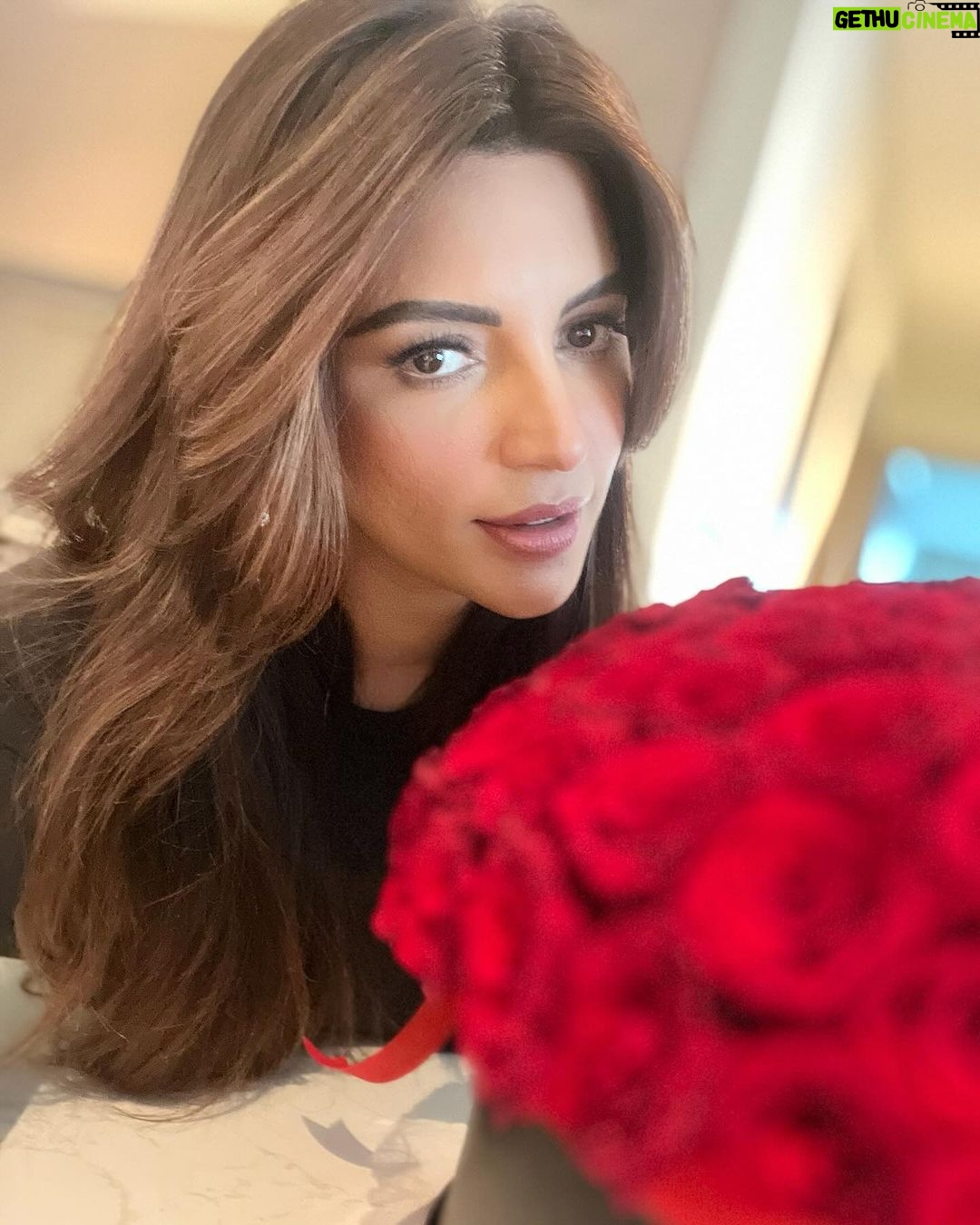 Shama Sikander Instagram - Plants are good but Roses are Roses 🌹 ☺️🤓 . . . #roses #beautiful #shamasikander