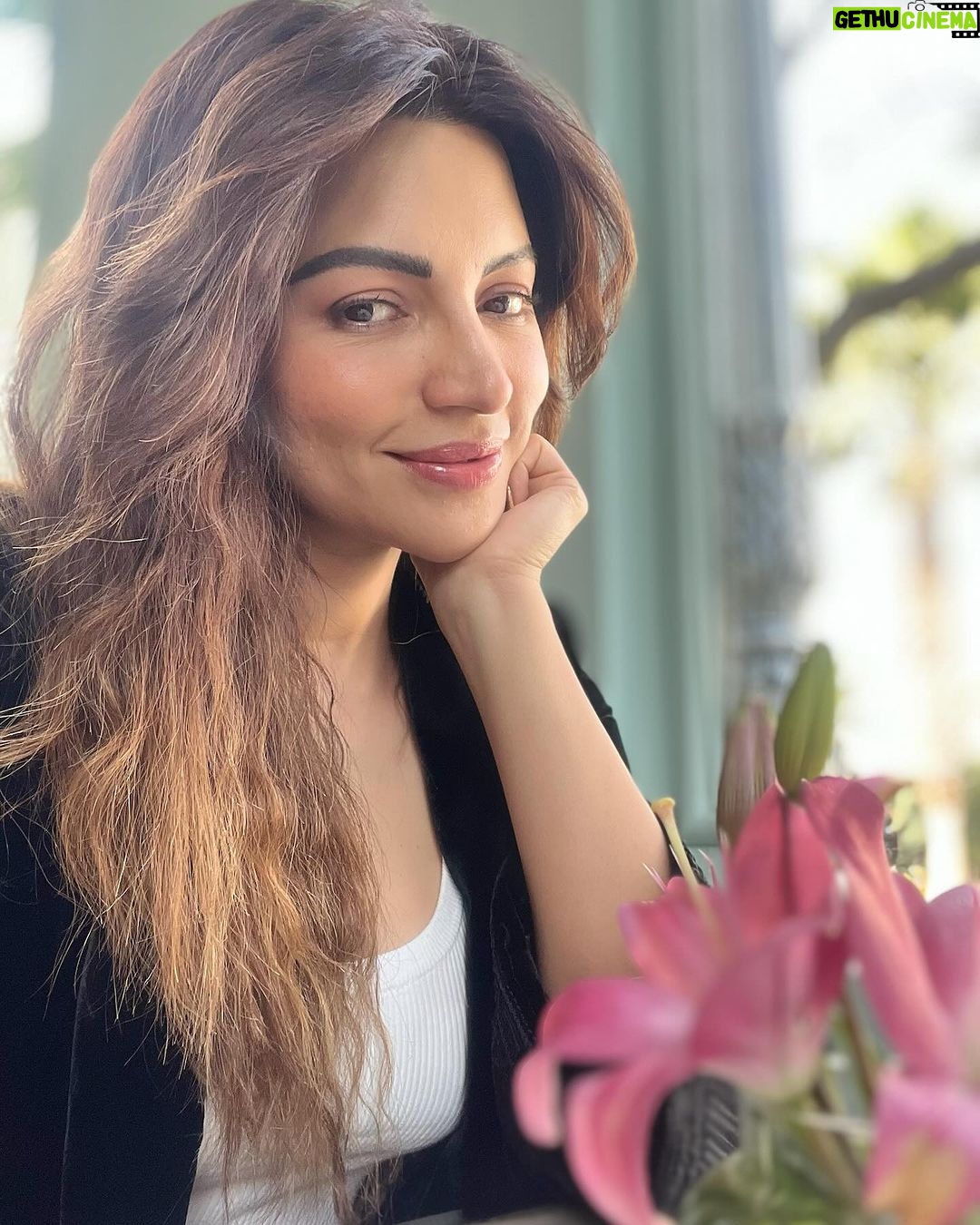 Shama Sikander Instagram - Maine poocha ik Lily se, ithlake chaldi kahannnn….!!!😄 lighting itne acchi thi ki ek selfie kaafi nahi thi 🤓 . . . #nofilterneeded #realme #asrealasitgets #lovelilies #myfavorite #flower #lily #jaipur #love #light #joy #abundance 😇 Jaipur PinkCity