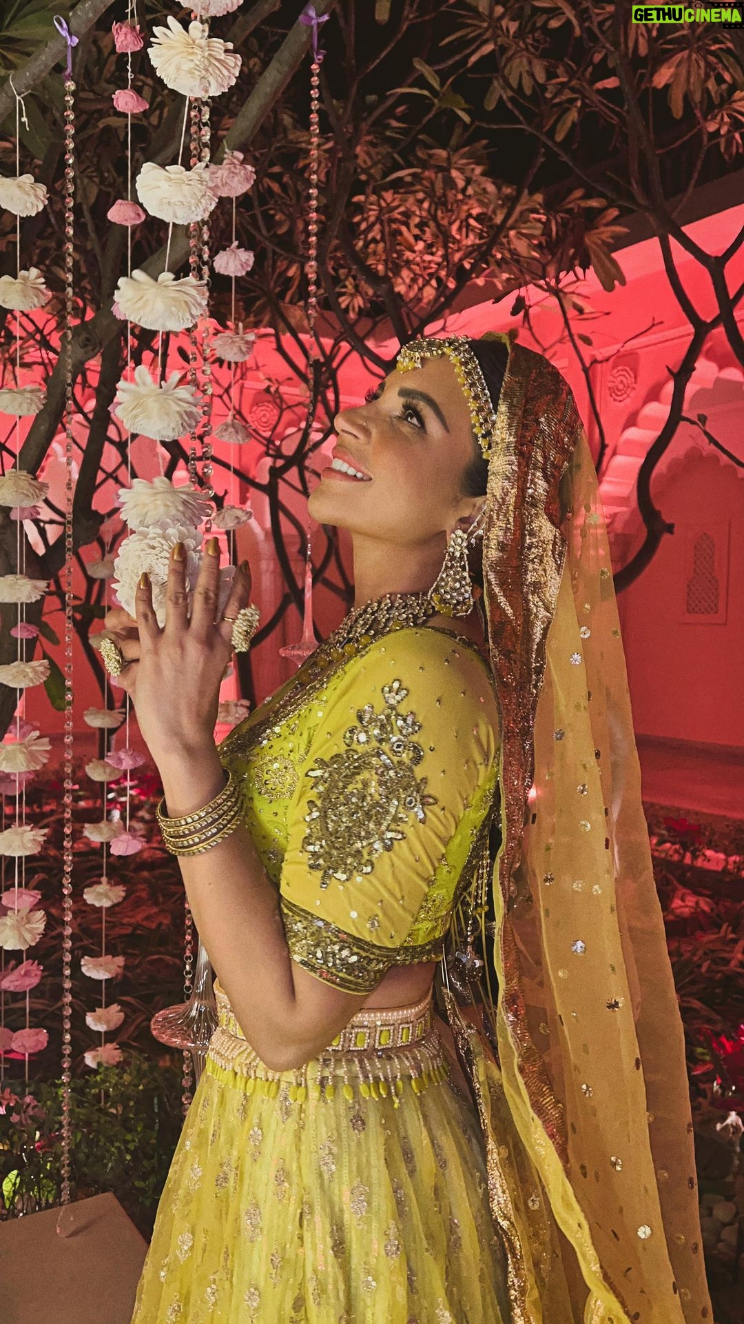 Shama Sikander Instagram - Jaipur vibes: tried to capture the beauty of Mharo des Rajasthan, the Pink city-Jaipur, work, family moments….#gratitude 🙏🏻😇♥️ . . . #gratitude #worklifebalance #shamasikander