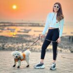 Shama Sikander Instagram - Sea breeze, sandy paws, and a sunset glow – perfect combo. . . . #sunset #casper #shamasikander Mumbai, Maharashtra