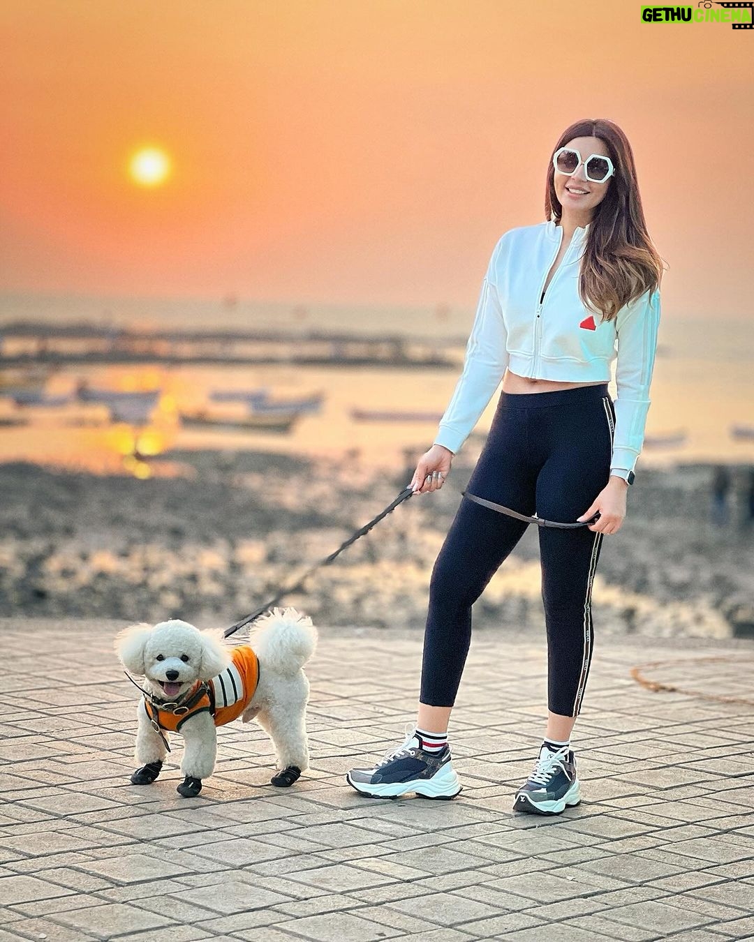 Shama Sikander Instagram - Sea breeze, sandy paws, and a sunset glow – perfect combo. . . . #sunset #casper #shamasikander Mumbai, Maharashtra