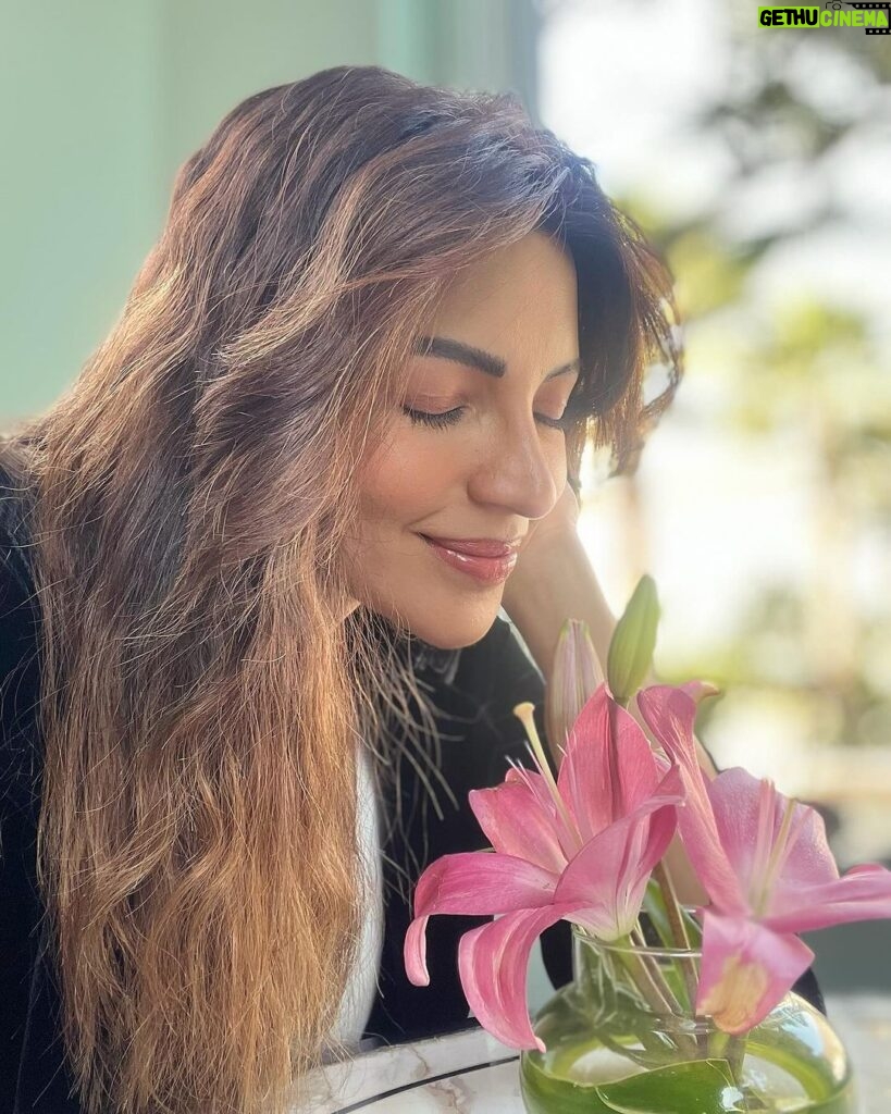 Shama Sikander Instagram - Maine poocha ik Lily se, ithlake chaldi kahannnn….!!!😄 lighting itne acchi thi ki ek selfie kaafi nahi thi 🤓 . . . #nofilterneeded #realme #asrealasitgets #lovelilies #myfavorite #flower #lily #jaipur #love #light #joy #abundance 😇 Jaipur PinkCity