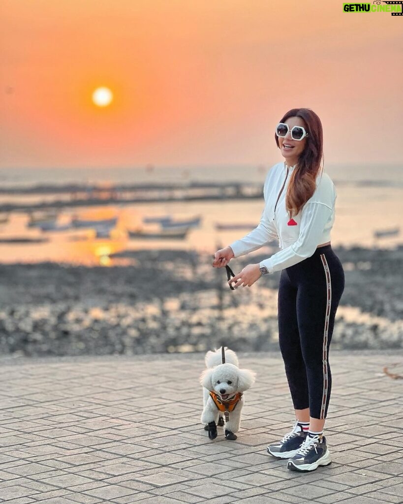 Shama Sikander Instagram - Sea breeze, sandy paws, and a sunset glow – perfect combo. . . . #sunset #casper #shamasikander Mumbai, Maharashtra