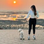 Shama Sikander Instagram - Sea breeze, sandy paws, and a sunset glow – perfect combo. . . . #sunset #casper #shamasikander Mumbai, Maharashtra