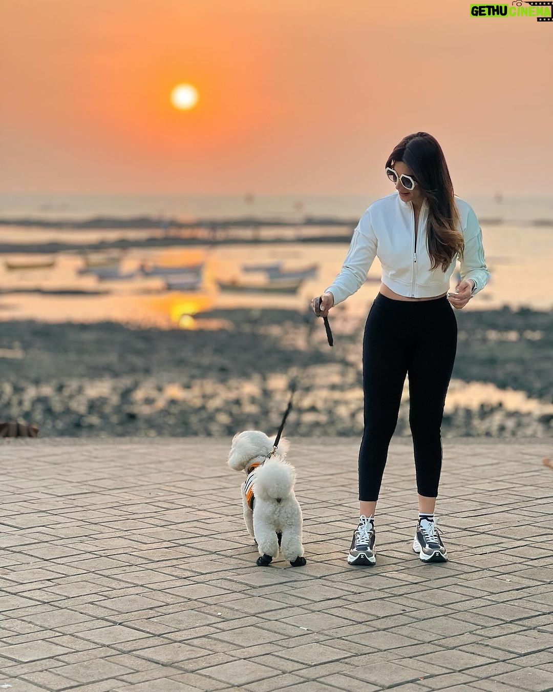 Shama Sikander Instagram - Sea breeze, sandy paws, and a sunset glow – perfect combo. . . . #sunset #casper #shamasikander Mumbai, Maharashtra