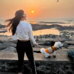 Shama Sikander Instagram - Sea breeze, sandy paws, and a sunset glow – perfect combo. . . . #sunset #casper #shamasikander Mumbai, Maharashtra
