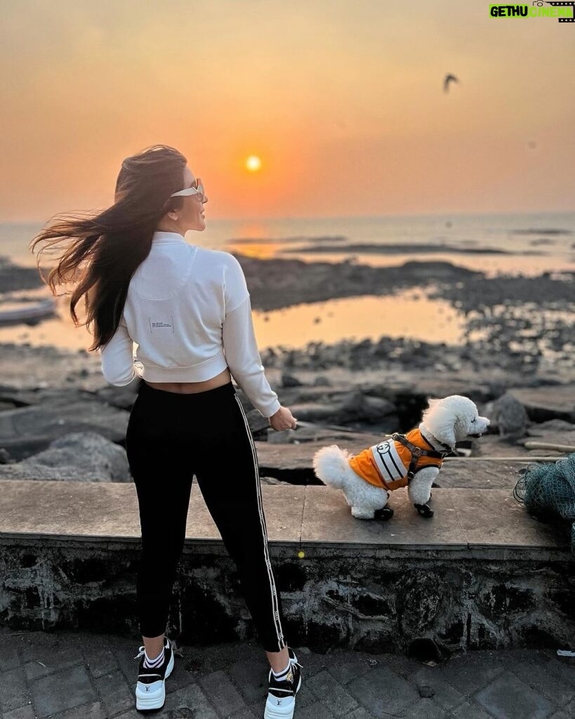 Shama Sikander Instagram - Sea breeze, sandy paws, and a sunset glow – perfect combo. . . . #sunset #casper #shamasikander Mumbai, Maharashtra