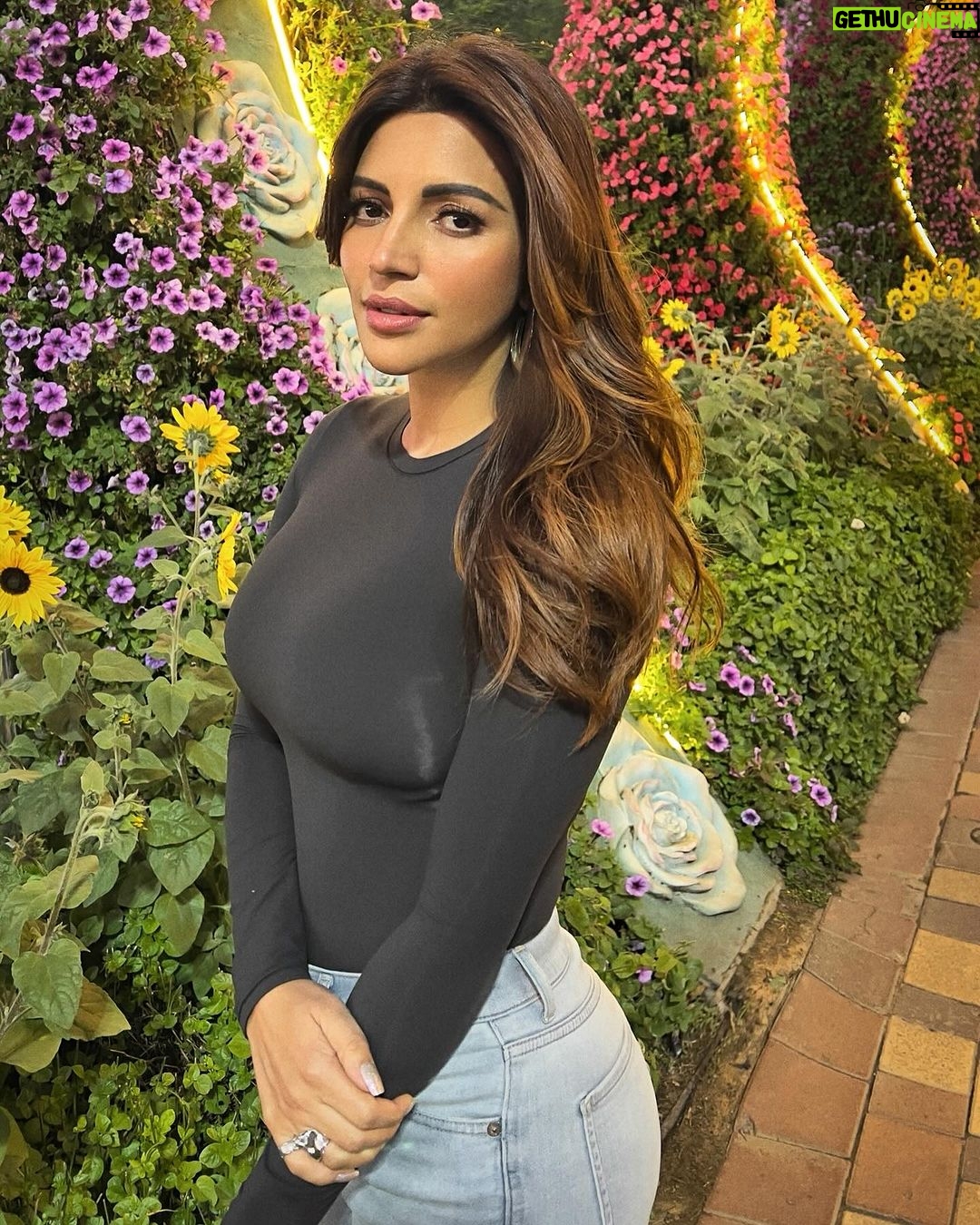 Shama Sikander Instagram - Enjoying the stunning blooms at Miracle Garden,Dubai 🌸 . . . #miracalegarden #dubai🇦🇪 #shamasikander Miracle Garden, Dubai UAE