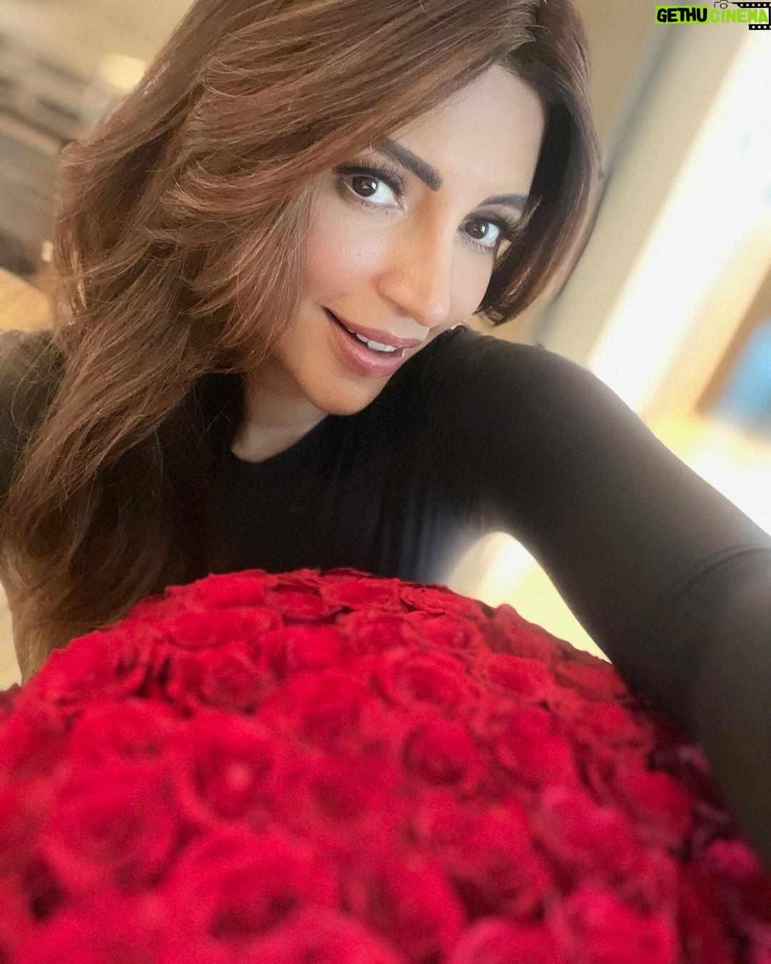 Shama Sikander Instagram - Plants are good but Roses are Roses 🌹 ☺️🤓 . . . #roses #beautiful #shamasikander