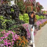 Shama Sikander Instagram - Enjoying the stunning blooms at Miracle Garden,Dubai 🌸 . . . #miracalegarden #dubai🇦🇪 #shamasikander Miracle Garden, Dubai UAE