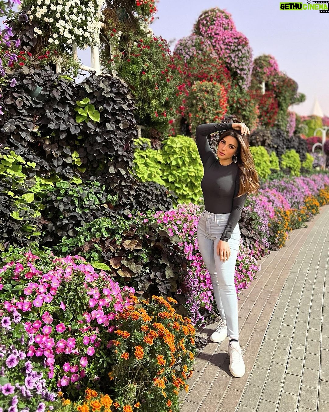Shama Sikander Instagram - Enjoying the stunning blooms at Miracle Garden,Dubai 🌸 . . . #miracalegarden #dubai🇦🇪 #shamasikander Miracle Garden, Dubai UAE