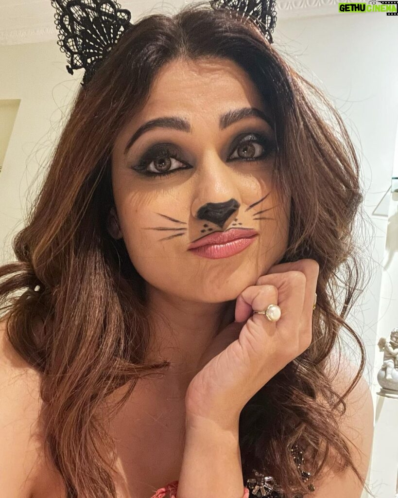 Shamita Shetty Instagram - Meow 🐱 #halloween #cat #meow #aboutlastnight #love #gratitude