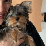 Shanaya Kapoor Instagram - my little boy