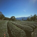 Shawn Yue Instagram – 天氣太好☀️
