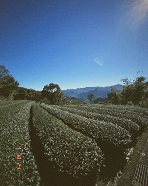 Shawn Yue Instagram - 天氣太好☀️